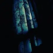 bsss