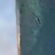 Kの画像