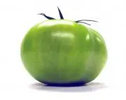 フライドグリーントマトの画像