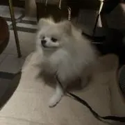 りおんの画像