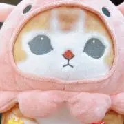 ちょまの画像
