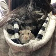 みき