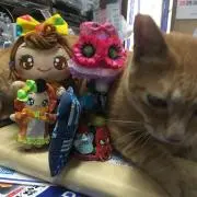 キャットフードの画像