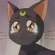 めめ