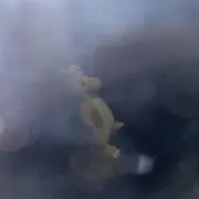 Monotaro kunの画像