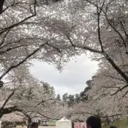 さっとぴの画像