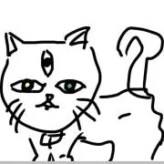 ミーコの画像