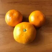 むーみんの画像