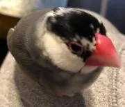 ゆーたの画像