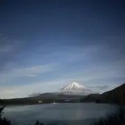 後ろ犬の画像
