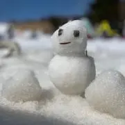 バンの画像