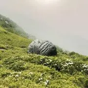 しょ