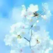 ろんろん