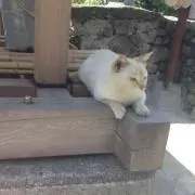 佑▷▷最短即日発送／断捨離で売切希望の画像