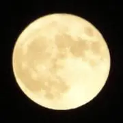 Moon⭐️の画像