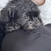meimeinaeyon