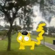 かぼのすけ