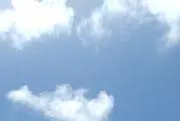 y-sの画像