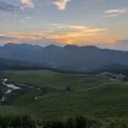 aの画像