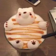 Paluの画像