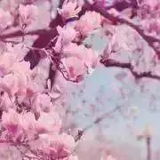 たろ(プロフ見てね)の画像