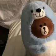 ネズの画像