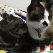 くす