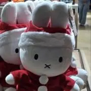 サツキの画像