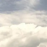 メイの画像