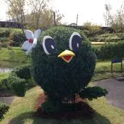 かっちゃんの画像