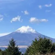 スノーの画像