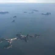 kanekoの画像