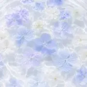 すももの画像