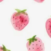 Aniの画像