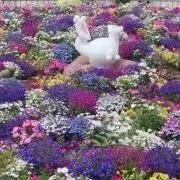 KANAの画像