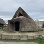 トロロの画像