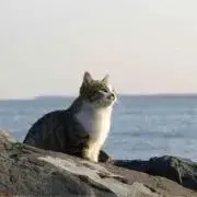 メリ※プロフィール必読願いますの画像