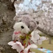 おだやかにの画像