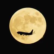 はちみっつの画像