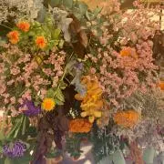 【即購入可】オカの画像