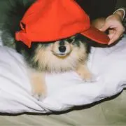 mui