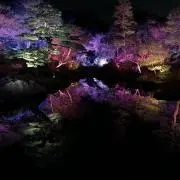 ばんぼす