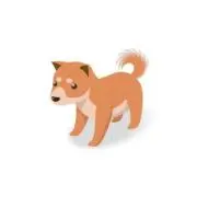 シバサキ