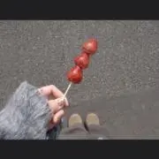 はなの画像