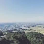 pallmallの画像