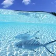 BLANC-NOIRの画像