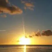 mimの画像