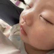 ひなの画像