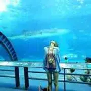 Az--の画像