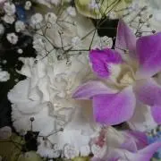 マカロン